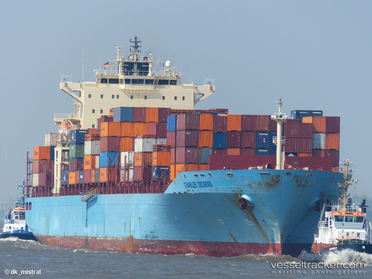 Msc-Daisy - Container Ship vessel