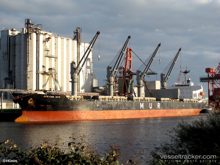 Abdullah-M - Bulk Carrier vessel