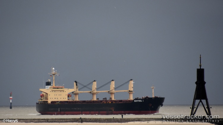 Da-Hong-16 - Bulk Carrier vessel