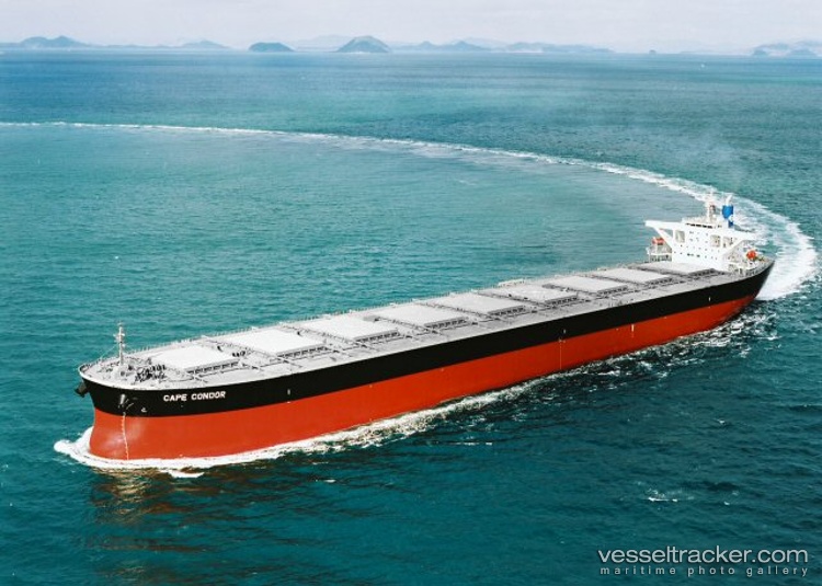 Panda - Bulk Carrier vessel