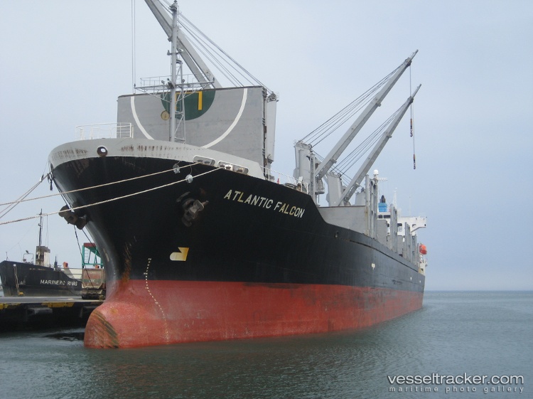 Punkt - Bulk Carrier vessel