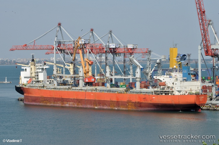 Tulip-18 - Bulk Carrier vessel
