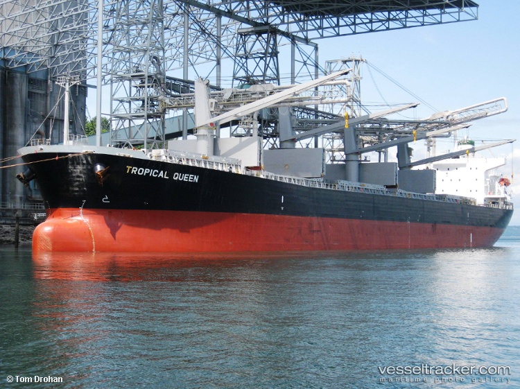 Vigorous - Bulk Carrier vessel