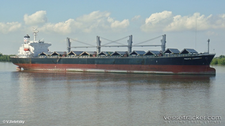 Camellia-8 - Bulk Carrier vessel