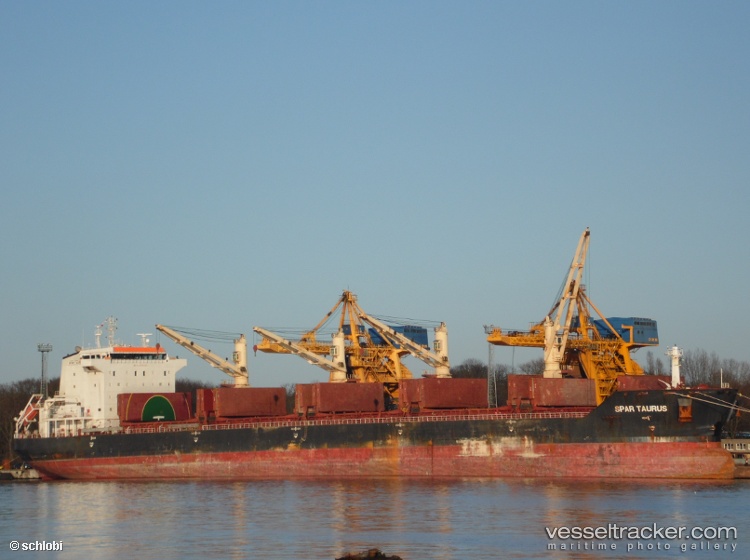 Spar-Taurus - Bulk Carrier vessel