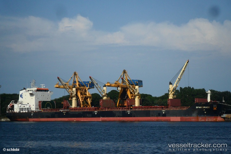 Lianson-Dynamic - Bulk Carrier vessel