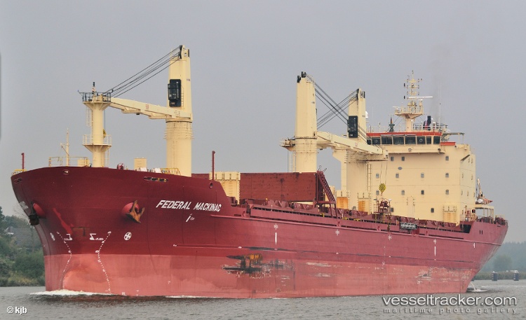 Lady-Sacha - Bulk Carrier vessel