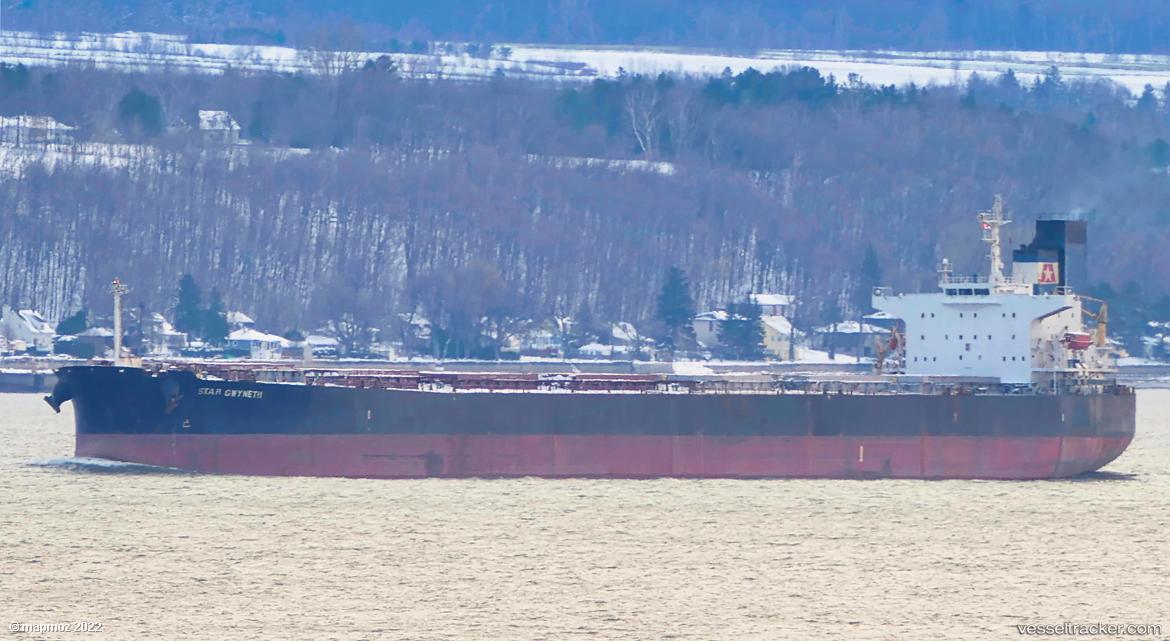 Star-Gwyneth - Bulk Carrier vessel