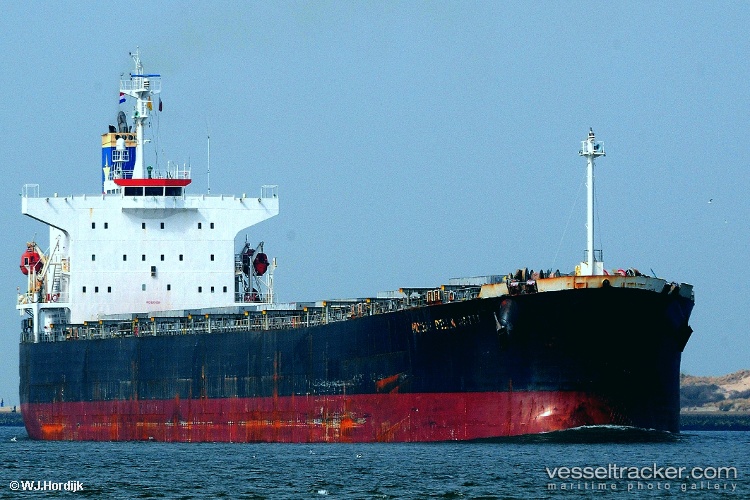 New-Harmony-8 - Bulk Carrier vessel