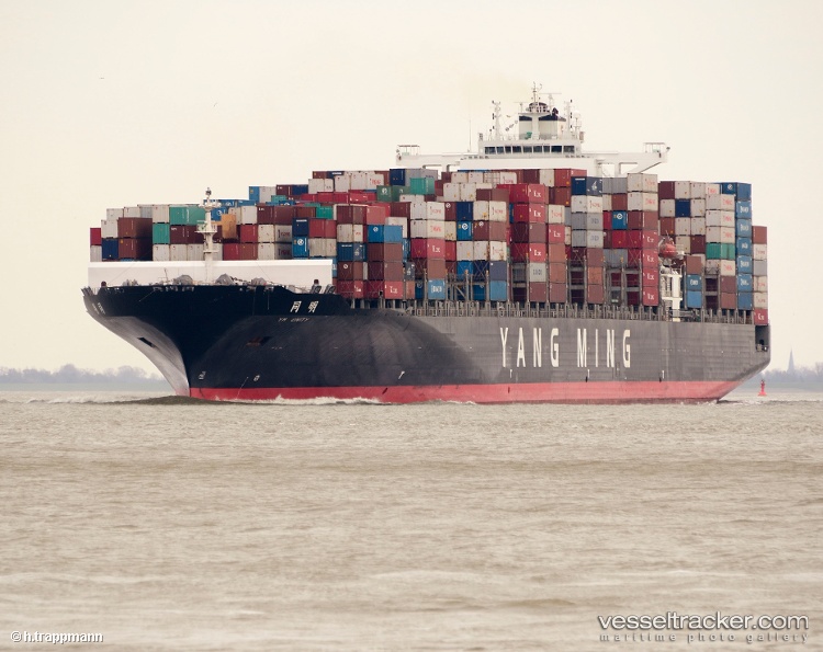 Msc-United-Viii - Container Ship vessel