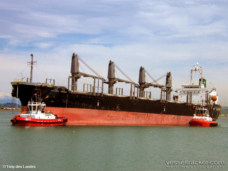Nalinee-Naree - General Cargo Ship vessel