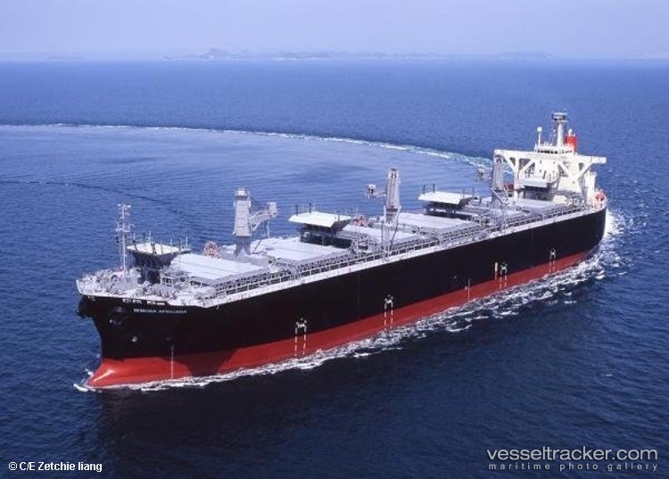 Yi-Hui-Lian-Xin - Wood Chips Carrier vessel