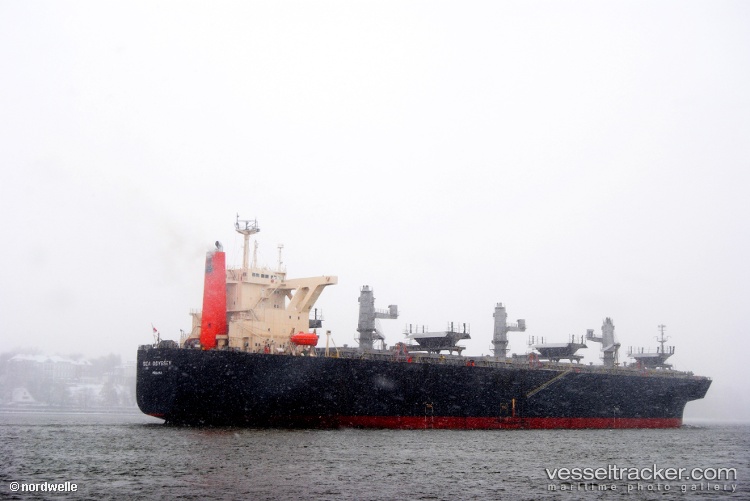 Eg-Courage - Wood Chips Carrier vessel