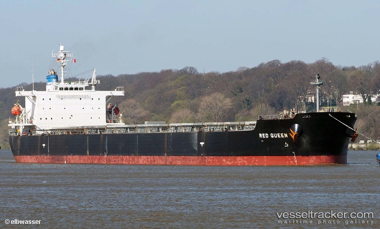 Arrow-Lady - Bulk Carrier vessel