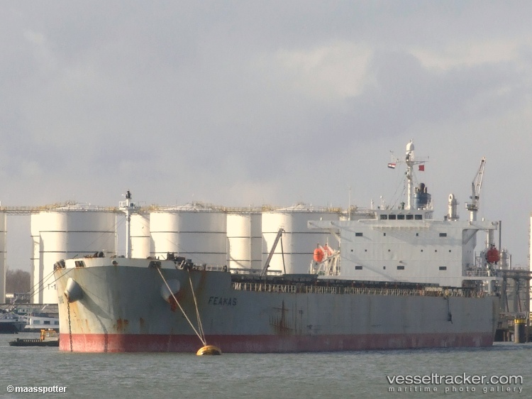 Wan-Ying-A - Bulk Carrier vessel