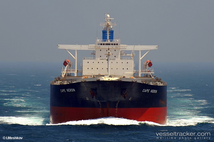 Xin-Hai-Tong-903 - Bulk Carrier vessel