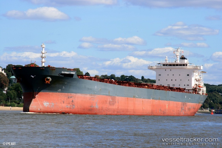 Wei-Ye-Fu-Yun - Bulk Carrier vessel