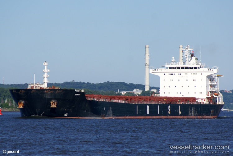 Artin - Bulk Carrier vessel