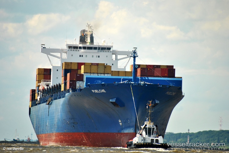 Esl-Dana - Container Ship vessel
