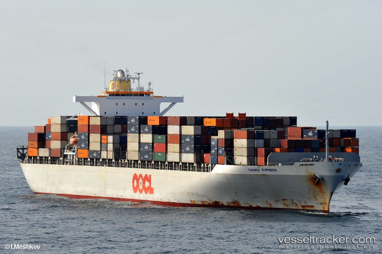 Rantanplan - Container Ship vessel