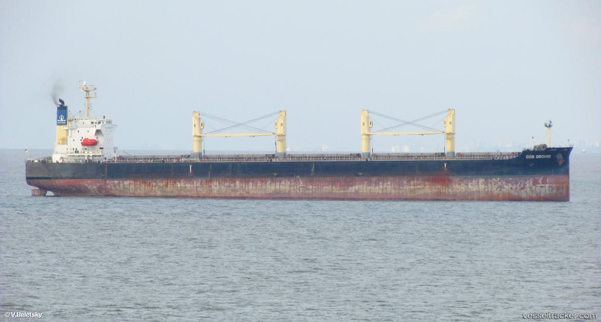 Cos-Orchid - Bulk Carrier vessel