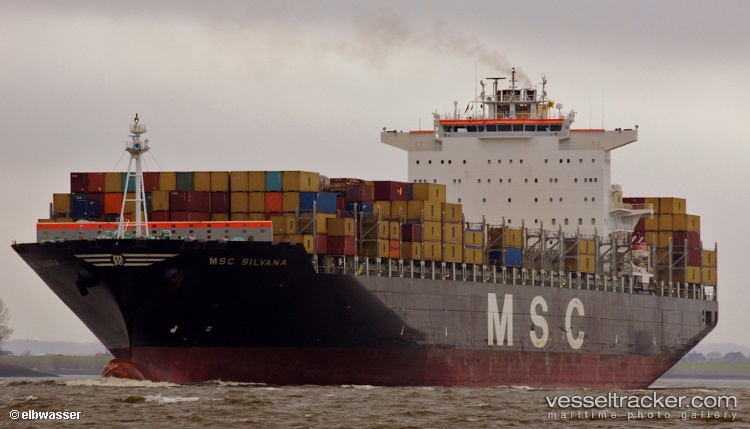 Msc-Silvana-Viii - Container Ship vessel