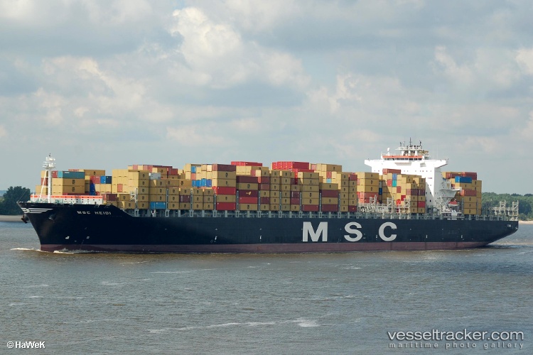 Msc-Heidi