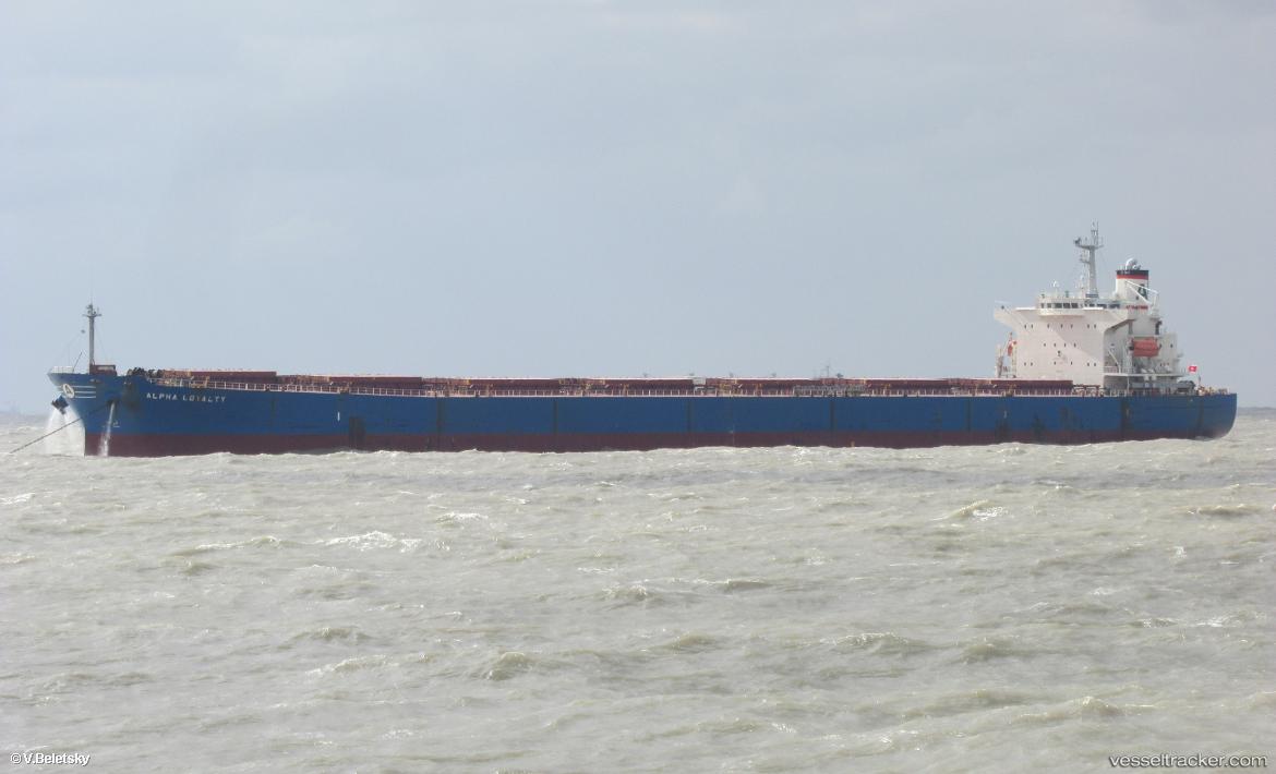 Alpha-Loyalty - Bulk Carrier vessel