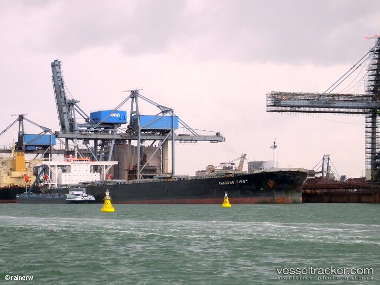 Deyi-Diligence - Bulk Carrier vessel