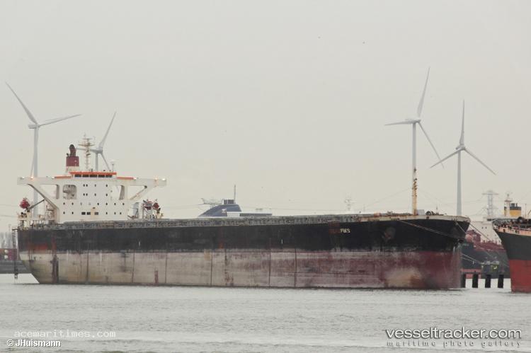 Luck-Fortune - Bulk Carrier