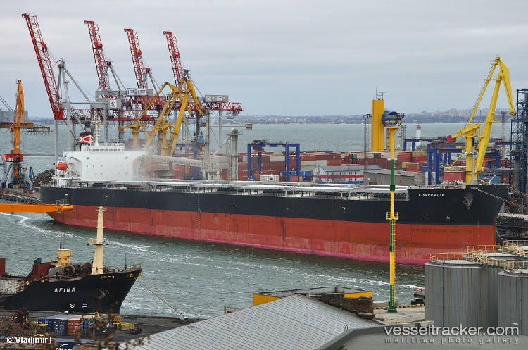 Concordia - Bulk Carrier vessel