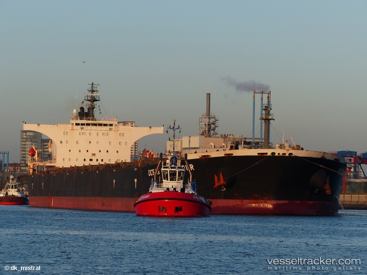 Caramello - Bulk Carrier vessel