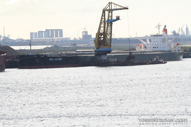 Winning-Loyalty - Bulk Carrier vessel