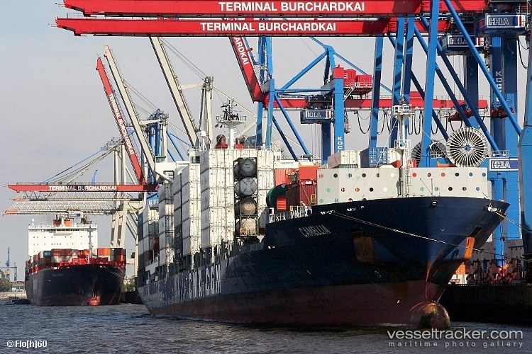 As-Camellia - Container Ship vessel