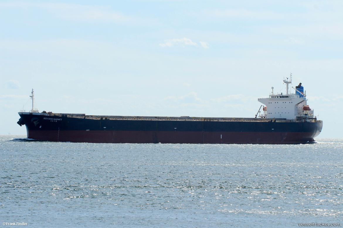 Hoanh-Son-Global - Bulk Carrier vessel