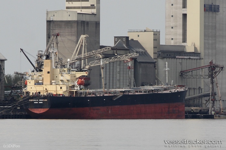 Tiana - Bulk Carrier vessel