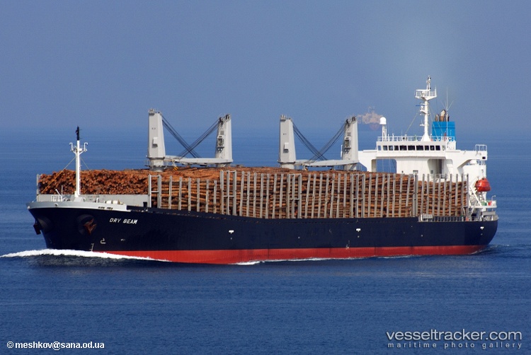 Astoria-Bay - Bulk Carrier vessel