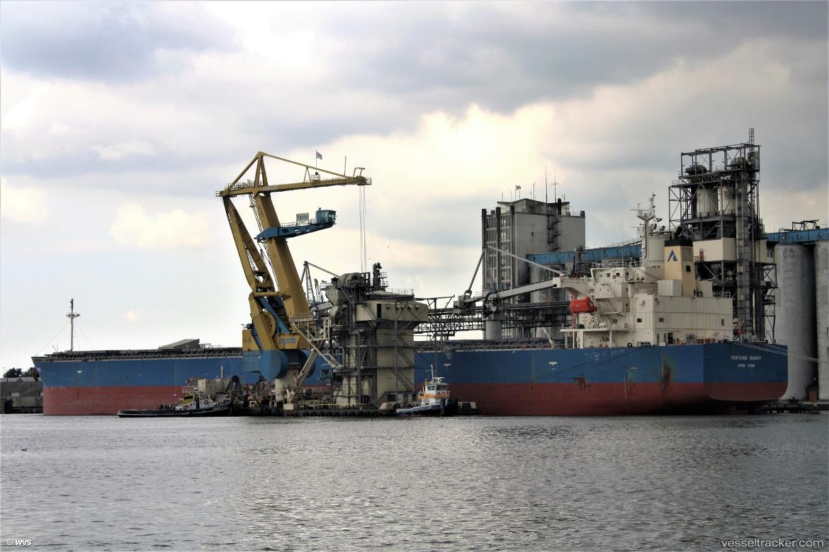 Eco-Sikousis - Bulk Carrier vessel