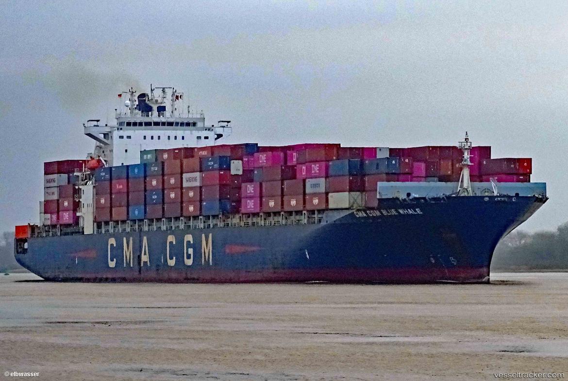 Cma-Cgm-Blue-Whale - Container Ship vessel