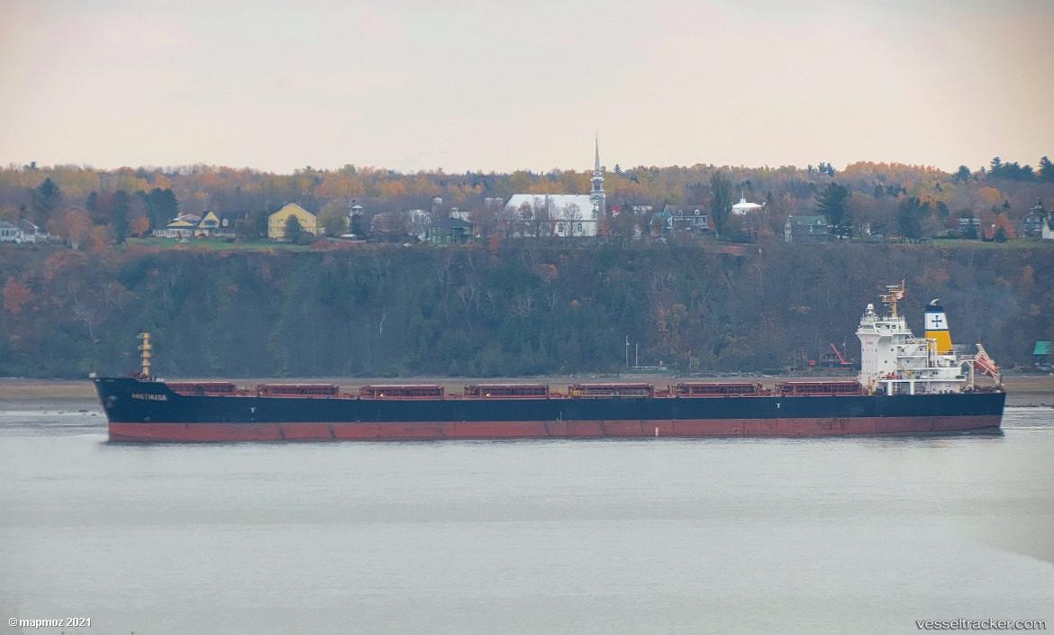 Magic-L - Bulk Carrier vessel