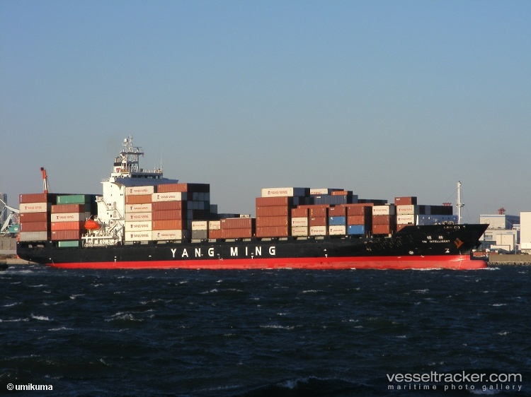 Ym-Intelligent - Container Ship vessel