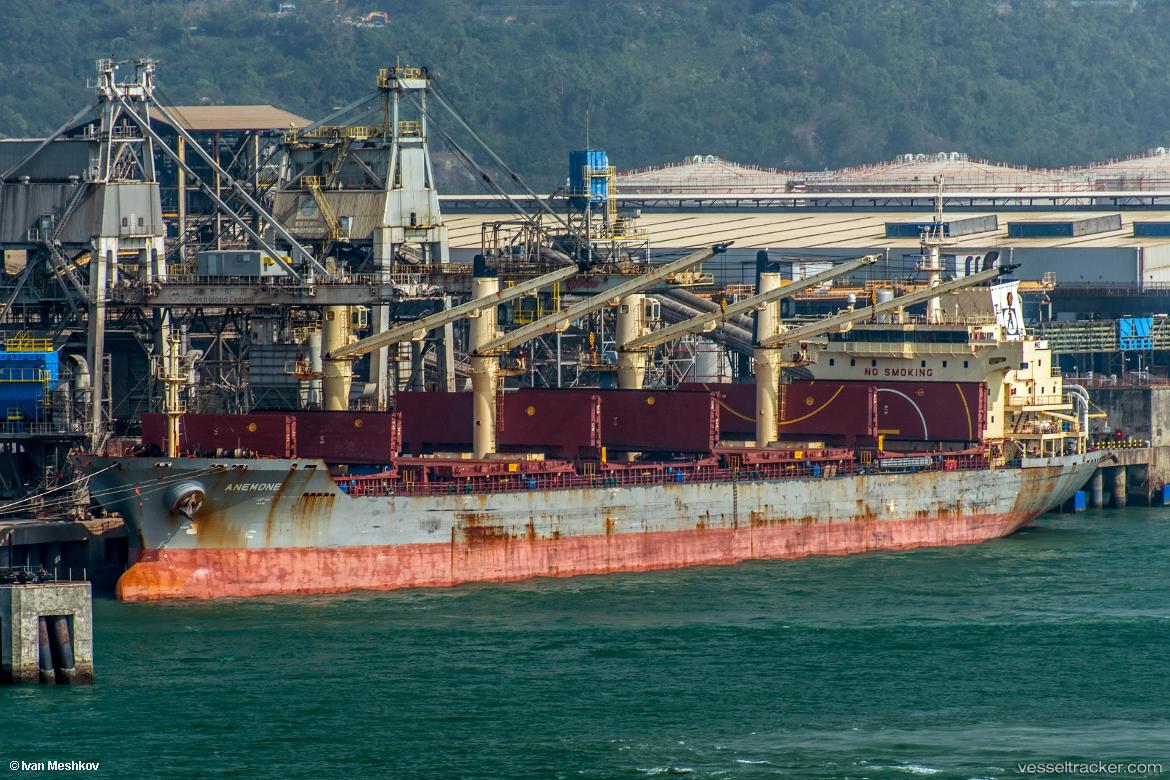 F-Line - Bulk Carrier vessel