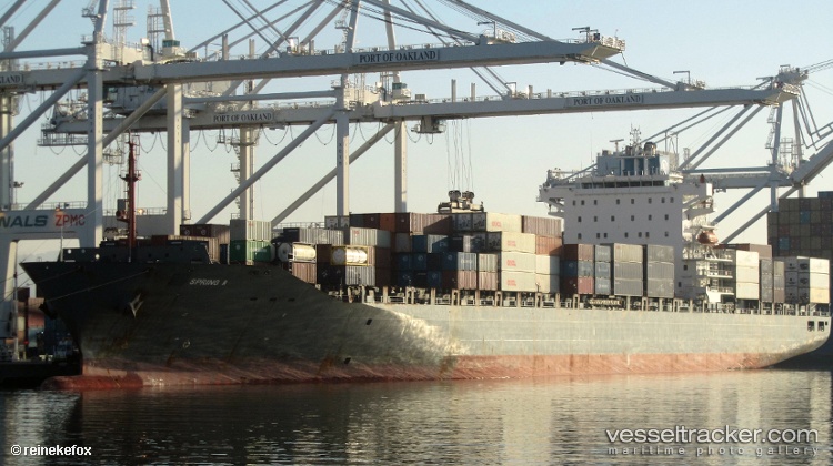 Msc-Nadia-Iv - Container Ship vessel