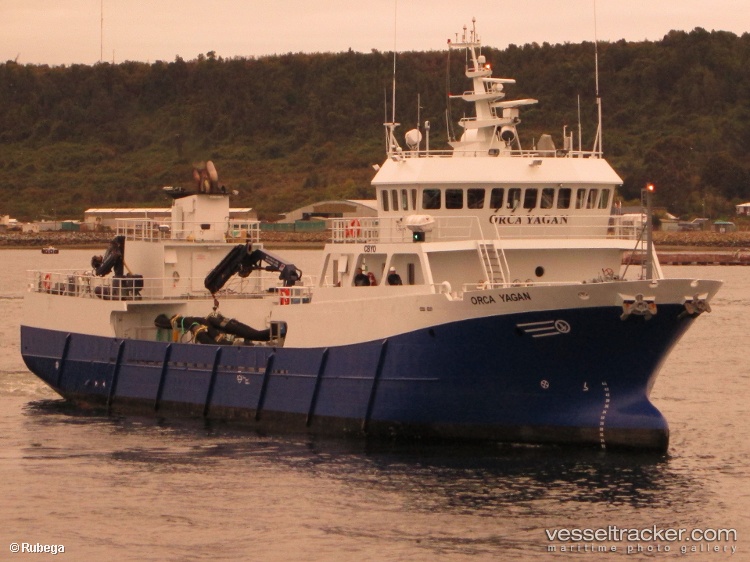 Orca-Yagan - Fish Carrier
