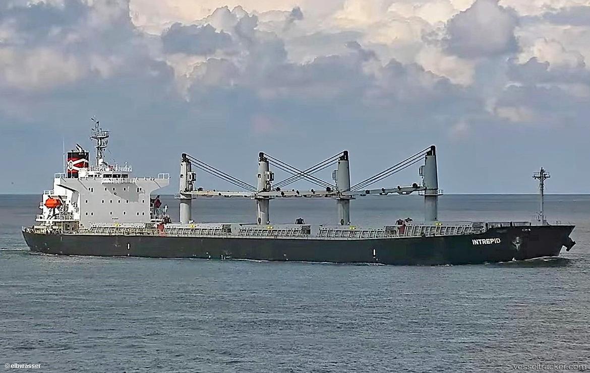 Intrepid - Bulk Carrier vessel