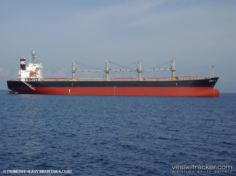 Xin-Bo - Bulk Carrier vessel