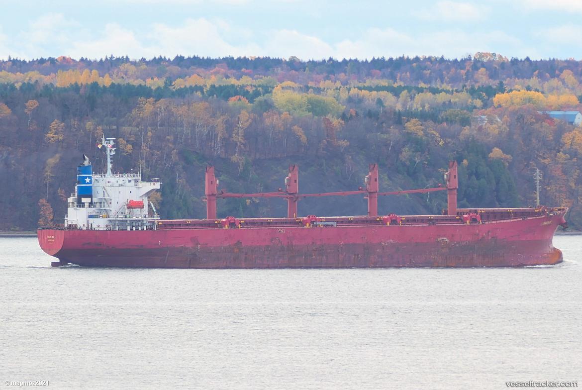 Pauline - Bulk Carrier vessel