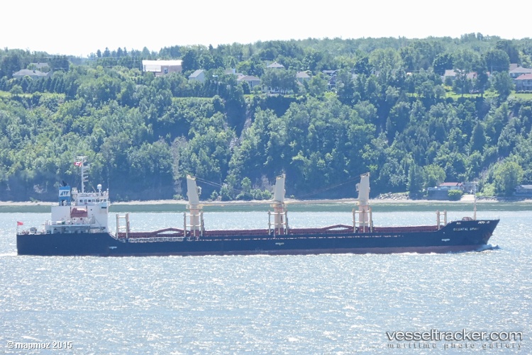 Hoang-Anh-02 - Bulk Carrier vessel