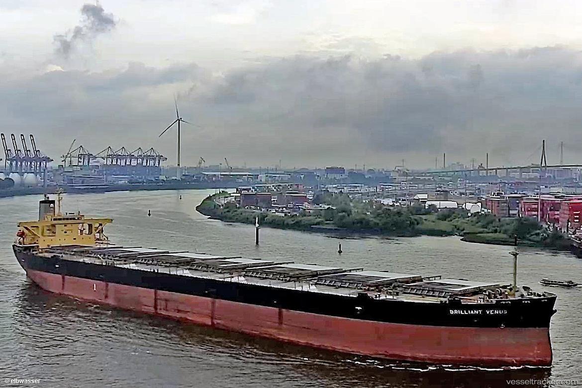Brilliant-Venus - Bulk Carrier vessel