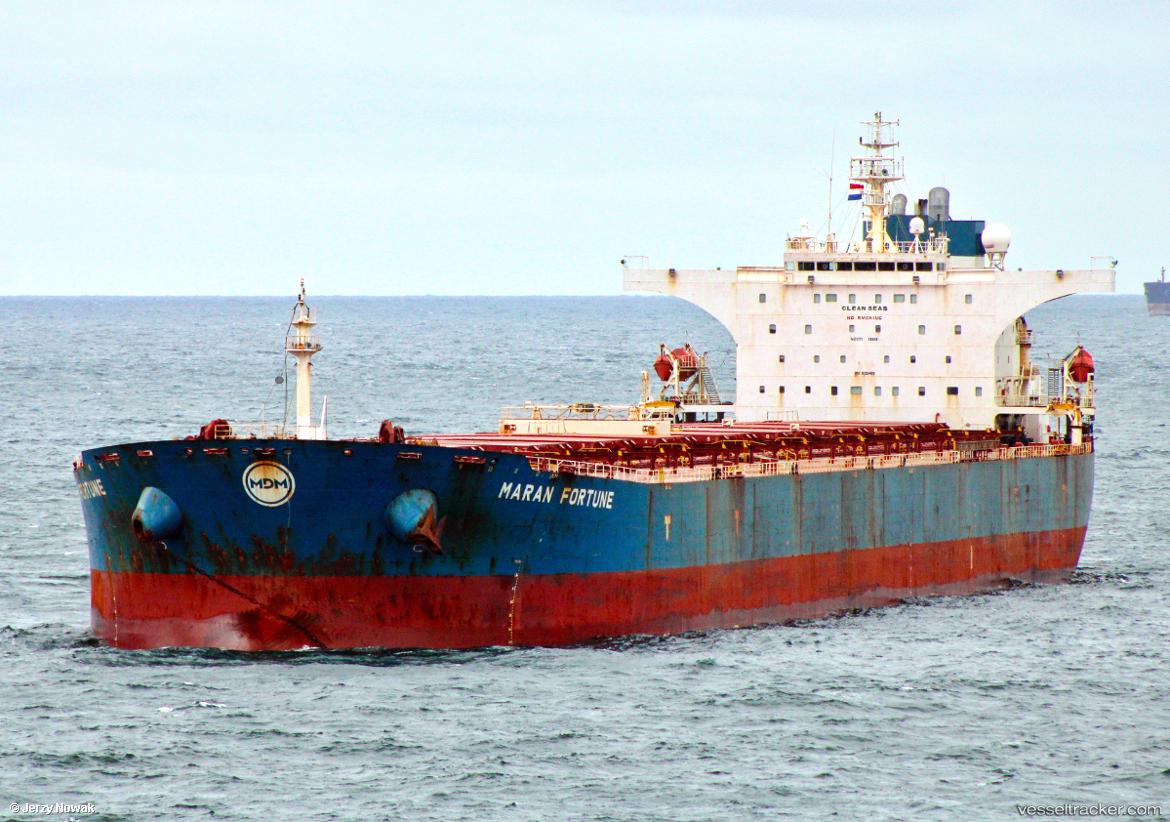 Leone-Fortune - Bulk Carrier vessel